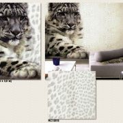 Roberto Cavalli974