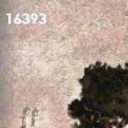 16393.