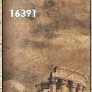 16391