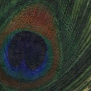 52726 панель.